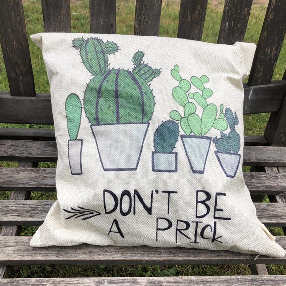 Lot of 2 Cushions: Let That S*** Go, and Don't Be a PR*** Novelty 15 x 15, EUC - Picture 2 of 4